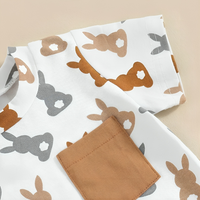 Short Sleeve Brown Easter Bunny Baby Set